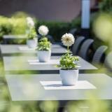 Elefant, Bild 3 ansehen Elefant, Bild 3