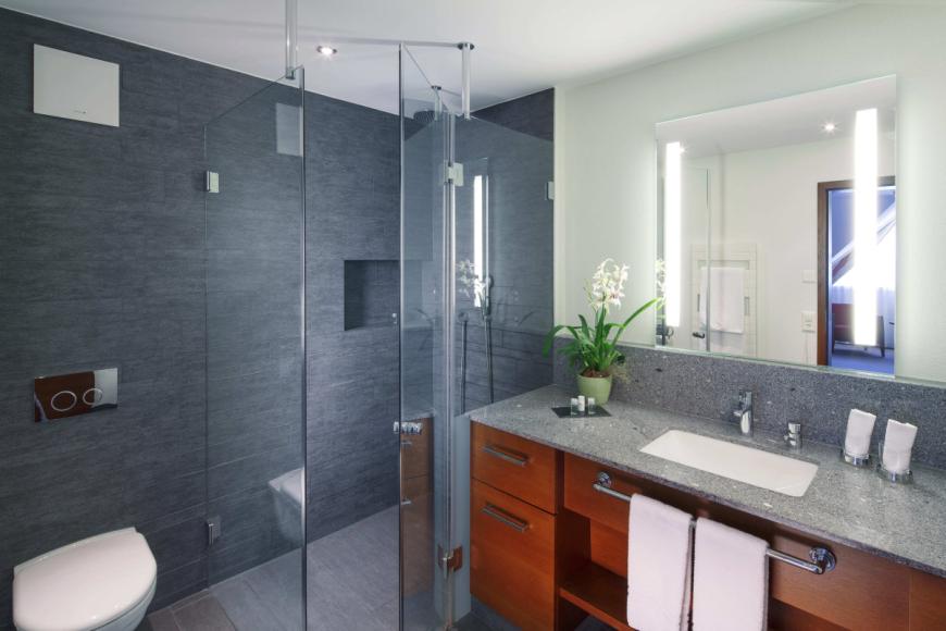 4 Sterne Hotel: Swiss Holiday Park - Morschach, Schwyz, Bild 5