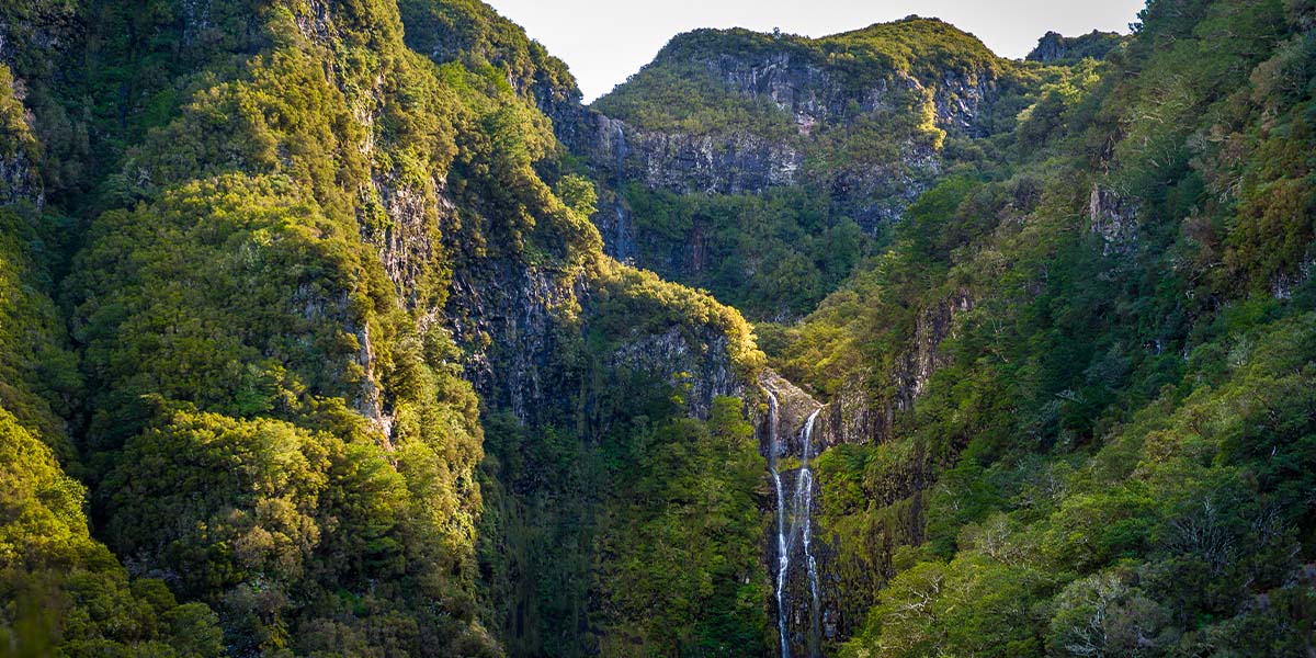 Urlaub auf Madeira: Aktivitäten