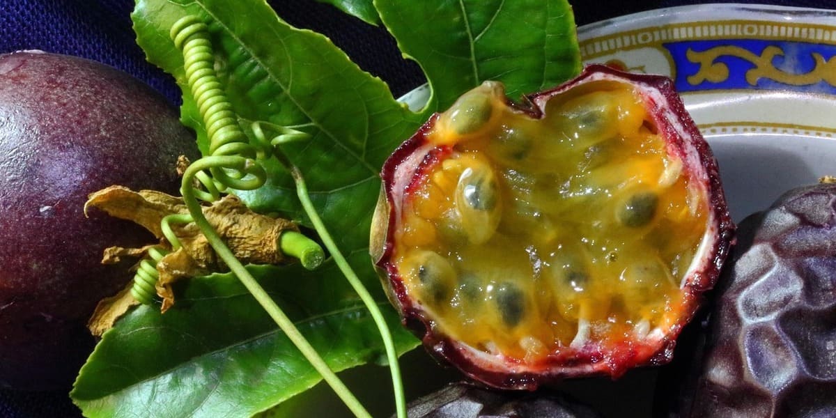 Madeira Urlaub: Essen und Trinken