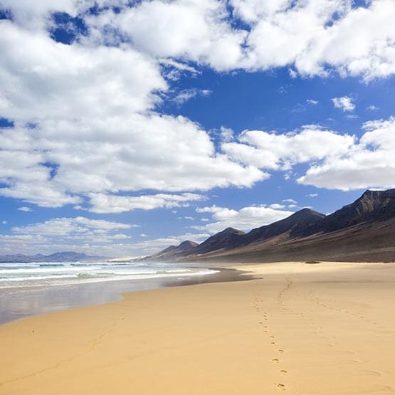 Bild zu Fuerteventura