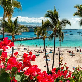 Bild zu Gran Canaria