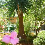 Alkionis, Gartenanlage