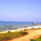 Neon Beach, Bild 1