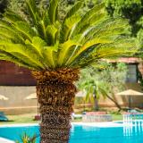 Achousa, Pool