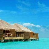 Cocoon Maldives, Bild 2