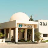 Cesar Thalasso, Bild 7