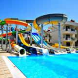 Dream Family Club, Bild 4