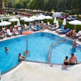 Aktinia, Pool