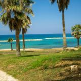 Venus Beach, Bild 3