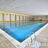 Ambassador, Bild 5