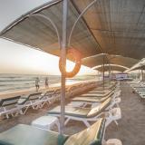 Trendy Palm Beach, Bild 10