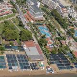 Trendy Palm Beach, Bild 2
