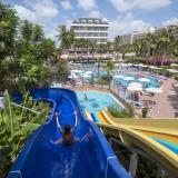 Trendy Palm Beach, Bild 1