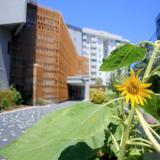 Simply Fine Hotel Alize, Bild 6