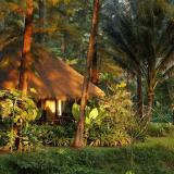 Haadson Resort Bangsak Beach Khao Lak, Bild 8