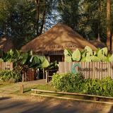 Haadson Resort Bangsak Beach Khao Lak, Bild 2