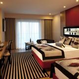 Delphin Imperial, Bild 3