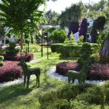 Emelda Sun Club, Bild 7