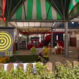 Delphin Diva, Bild 9