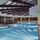 Delphin Diva, Bild 5