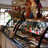 Dream World Aqua, Bild 8