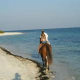 Quinta Do Mar - Country and Sea Village, Bild 8
