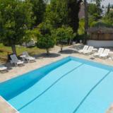Popi Star, Pool
