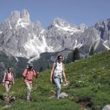 Alpenkrone, Aussicht