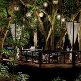 The Reef Playacar, Bild 5