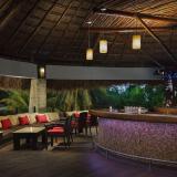 The Reef Playacar, Bild 6