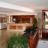 Santanyi Port, Lobby
