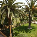 Montinho De Ouro, Gartenanlage