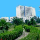 Anezi Tower, Bild 1