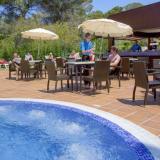 Timor, Bar