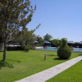 Tina Flora, Pool