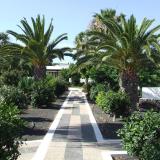 Playa Limones, Bild 6