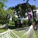 Emelda Sun Club, Bild 7