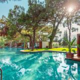 Marco Polo Club, Bild 1