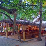 Biyadhoo Island Resort, Bild 6