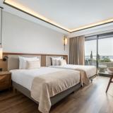 Anda Barut Collection, Bild 4