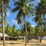 5 Sterne Hotel: Karpaha Sands, Kalkudah, Ostprovinz