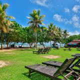 The Palms, Bild 3