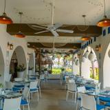 Oasis Palm, Bild 5