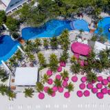 Oasis Palm, Bild 2