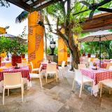 Oasis Palm, Bild 7