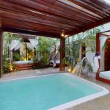 Oasis Palm, Bild 10