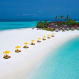 Dhigufaru Island Resort, Bild 6