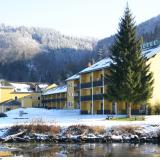 Donauschlinge, Bild 1