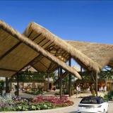 Dreams Flora Resort & Spa, Bild 2